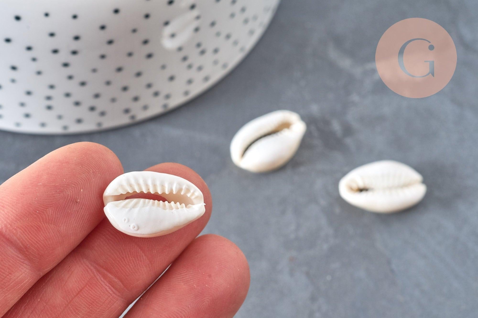 Pendentif Perle coquillage cauri resine blanc 19mm, x5 (G5403)