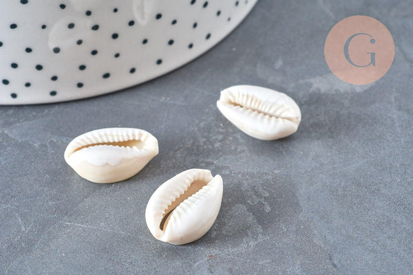 Pendentif Perle coquillage cauri resine blanc 19mm, x5 (G5403)