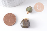 Pendentif bouteille parfum labradorite naturelle acier 304 inoxydable doré 27.5mm, x1 (G10315)