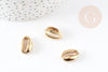 Pendentif cauri zamac doré 17mm , pendentif coquillage création bijoux x5 G0814
