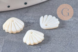 Pendentif charm coquillage nacre blanche naturelle ,pendentif coquillage nacre,coquillage blanc,création bijou, 10mm, x5 G4623