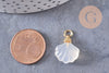 Pendentif coquillage agate naturelle blanche doré 14K 17.5mm, x1 (G10395)