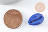 Pendentif coquillage cauri bleu,coquillage naturel,cauri bleu,15mm, x5 (G0366)