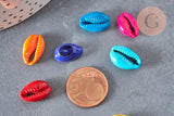 Pendentif coquillage cauri colore, coquillage naturel,cauri,coquillage bijou,15mm, x5 (G1531)
