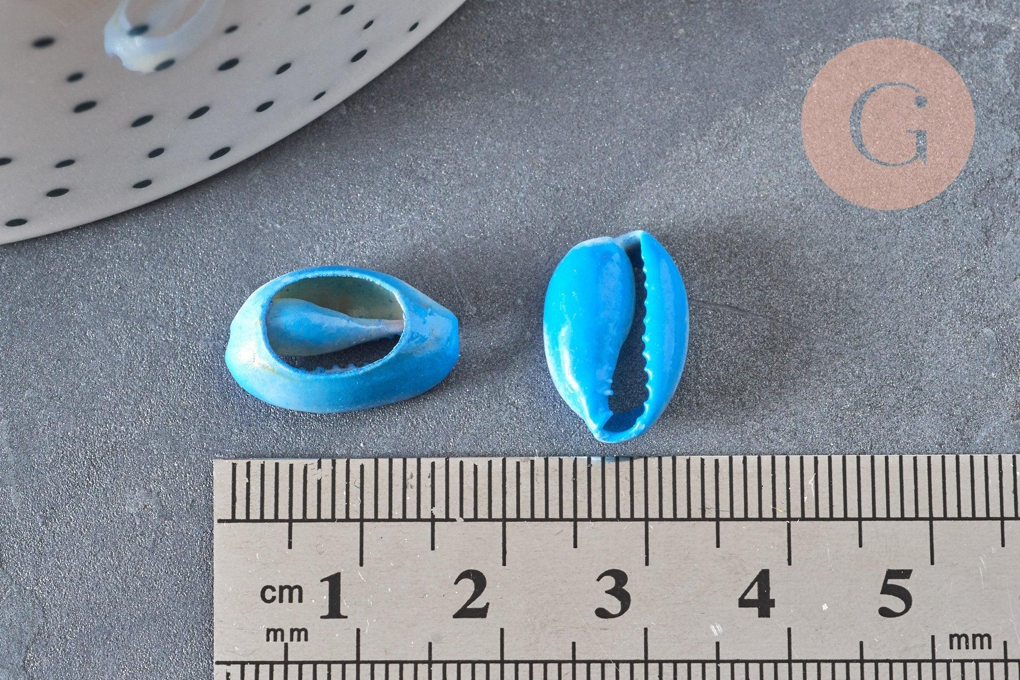 Pendentif coquillage cauri naturel bleu 15mm, x5 (G3123)