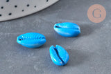 Pendentif coquillage cauri naturel bleu 15mm, x5 (G3123)