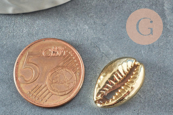 Pendentif coquillage cauri naturel doré clair20mm, x5 (G1121)