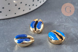 Pendentif coquillage cauri doré resine,coquillage naturel,cauri bleu,coquillage bijou,19mm, x5 (G1301)