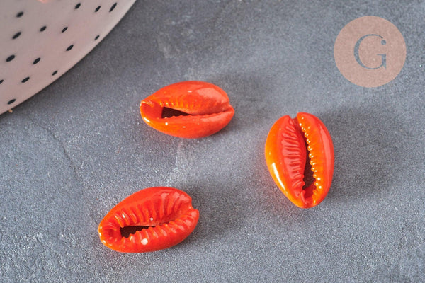 Pendentif coquillage cauri naturel orange 15mm, x5 (G2902)