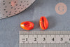 Pendentif coquillage cauri naturel orange 15mm, x5 (G2902)
