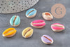 Pendentif coquillage cauri naturel resine colorée 19mm, x5 (G0736)