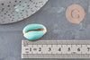 Pendentif coquillage cauri naturel resine colorée 19mm, x5 (G0736)