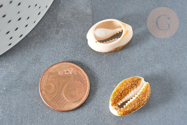 Pendentif coquillage cauri naturel résine et paillettes or 17-22mm, x5 (G7352)