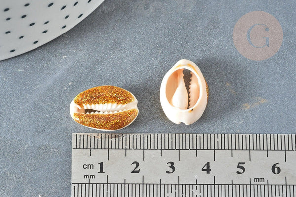 Pendentif coquillage cauri naturel résine et paillettes or 17-22mm, x5 (G7352)
