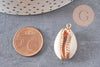 Pendentif coquillage cauri ouvert naturel doré, coquillage Conch bijou naturel, 23mm, x1 , G2296