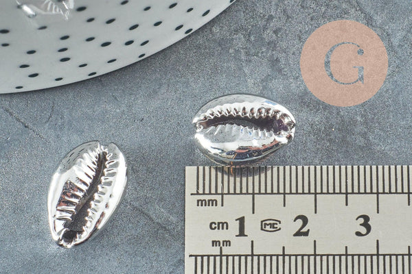 Pendentif coquillage cauris argent, coquillage naturel,cauri argent,coquillage bijou,20mm, x5 (G1676)