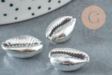 Pendentif coquillage cauris naturel argent 20mm, x5 (G1676)