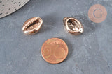 Pendentif coquillage cauris naturels or rose 20mm, x5 (G0158)