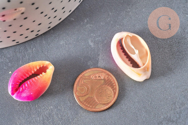 Pendentif coquillage cauris rose jaune,coquillage naturel,coquillage bijou,20mm, x5 (G0367)