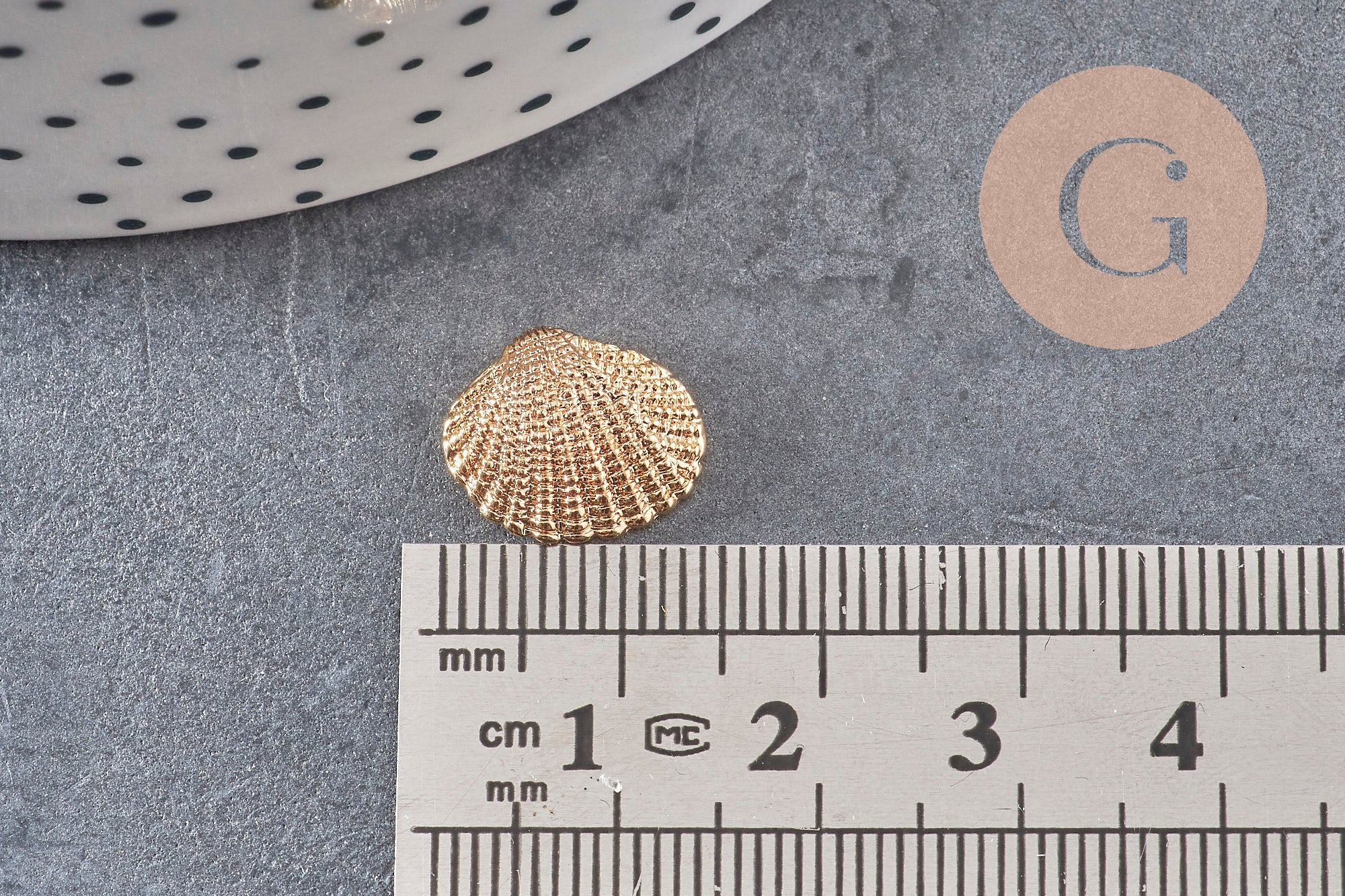 Pendentif coquillage doré 14K 13mm, x2 (G0664)