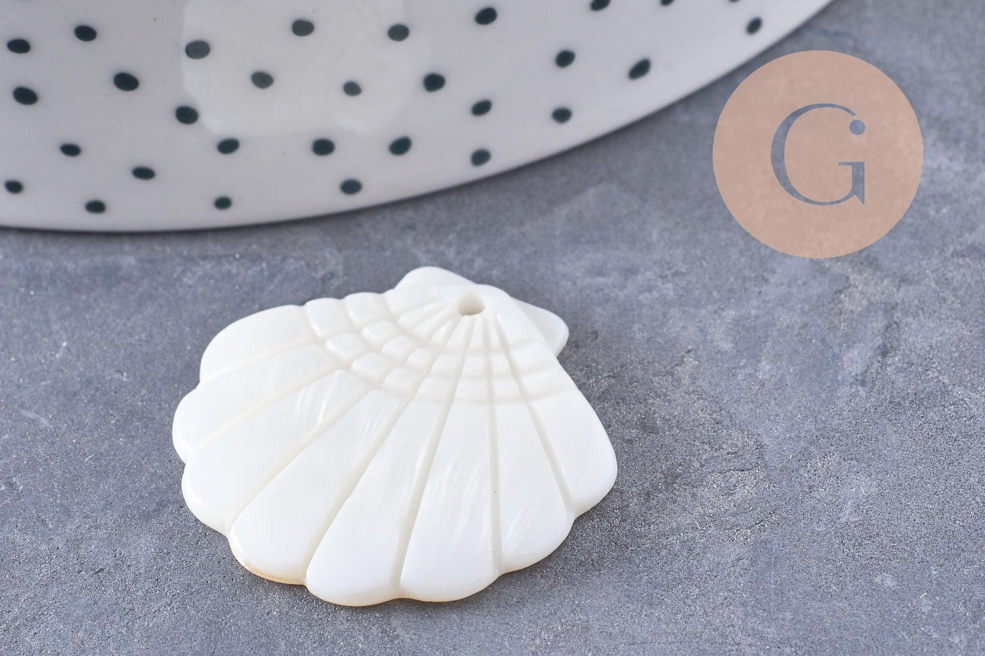 Pendentif coquillage nacre blanche naturelle 29mm, x2 (G10089)