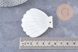 Pendentif coquillage nacre blanche naturelle 54mm, x2 (G10091)
