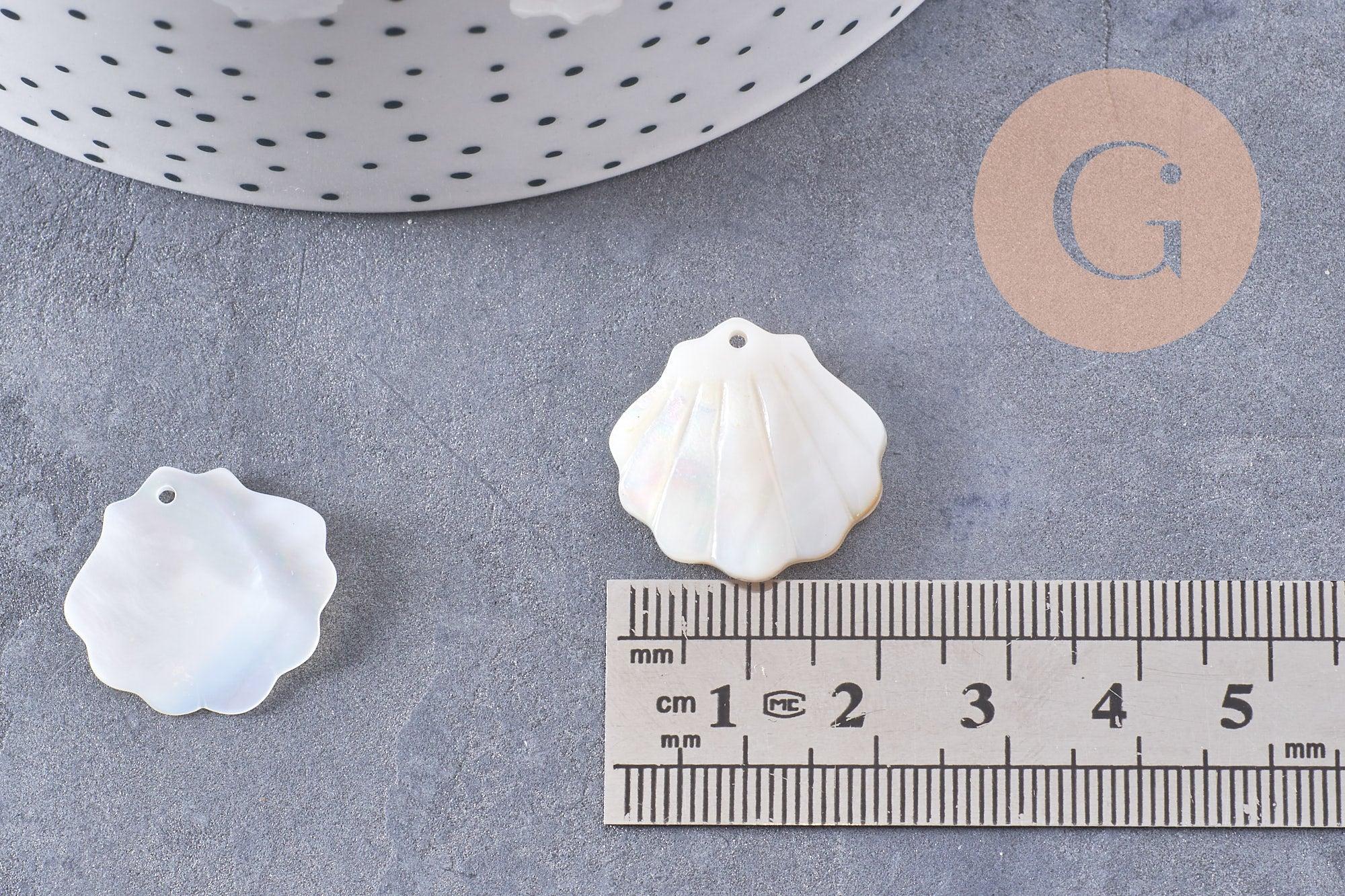 Pendentif coquillage nacre blanche naturelle irisée 21mm, x2 (G10224)