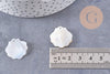 Pendentif coquillage nacre blanche naturelle irisée 21mm, x2 (G10224)