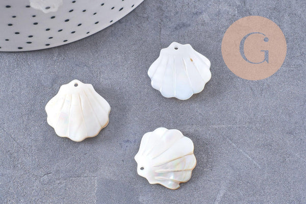 Pendentif coquillage nacre blanche naturelle irisée 21mm, x2 (G10224)