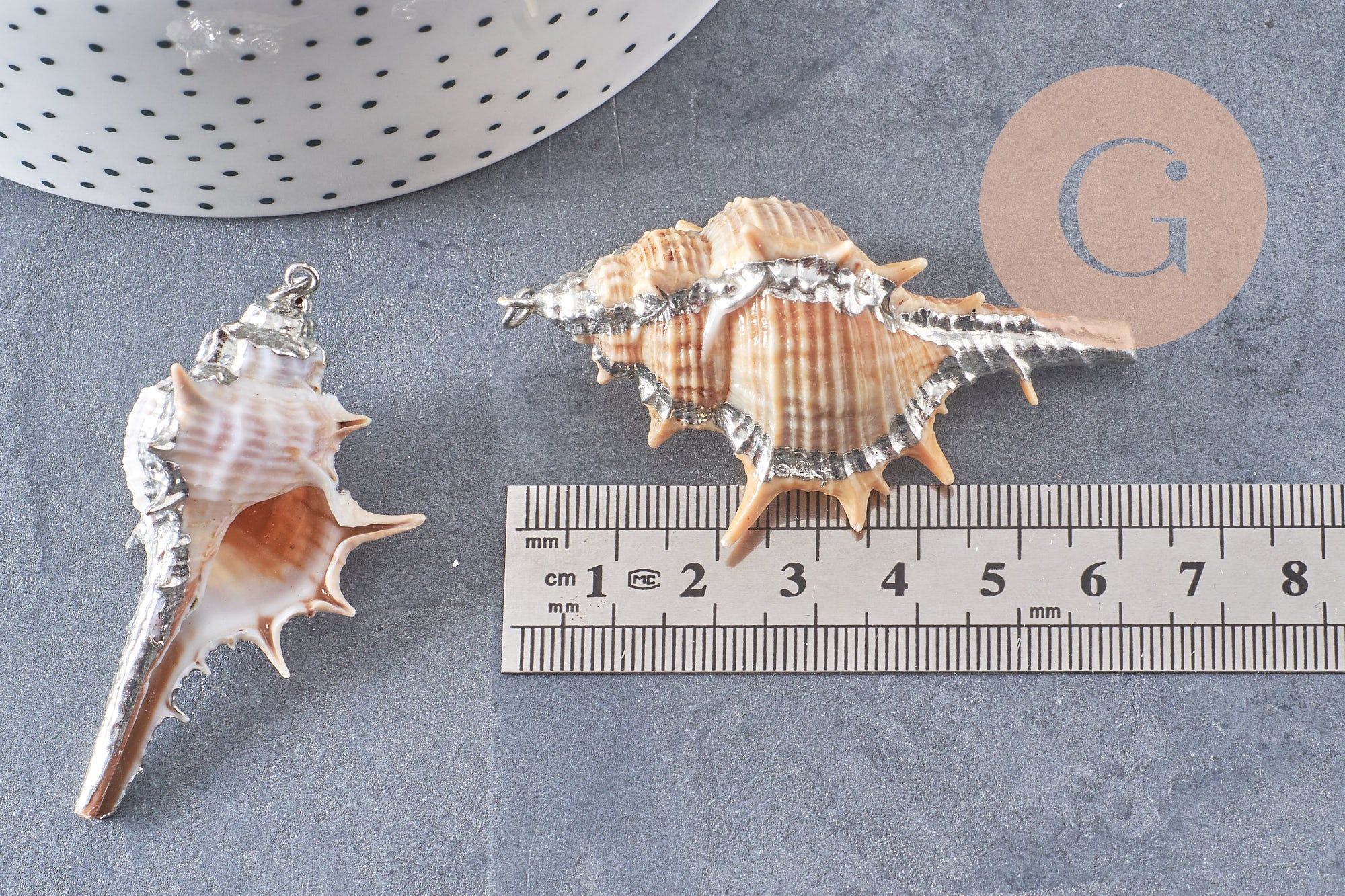 Pendentif coquillage naturel argenté 30mm, x1 (G1259)