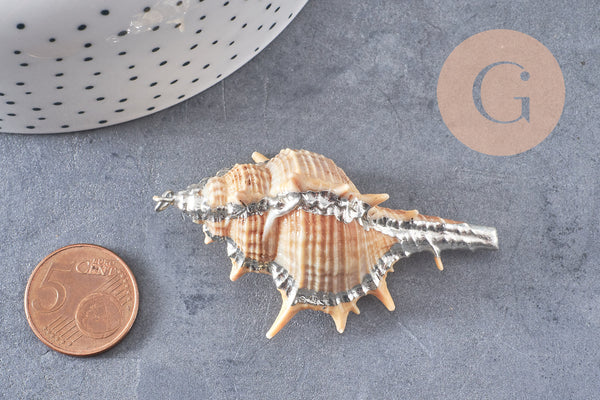 Pendentif coquillage naturel argenté, pendentif argent création bijoux, coquillage Conch bijou,coquillage naturel, 30mm-G1259