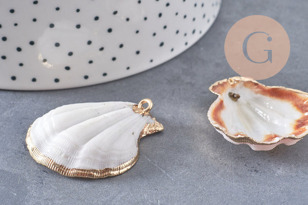 Pendentif coquillage naturel coque doré 32-42mm, x1 (G0096)