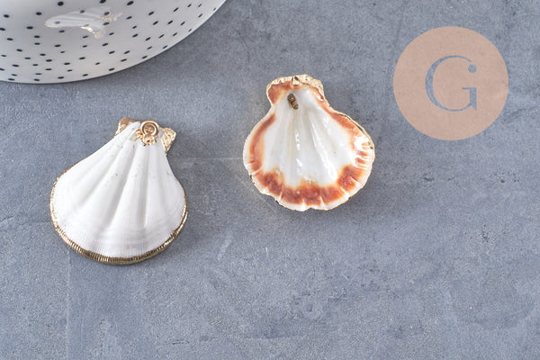 Pendentif coquillage naturel coque doré 32-42mm, x1 (G0096)