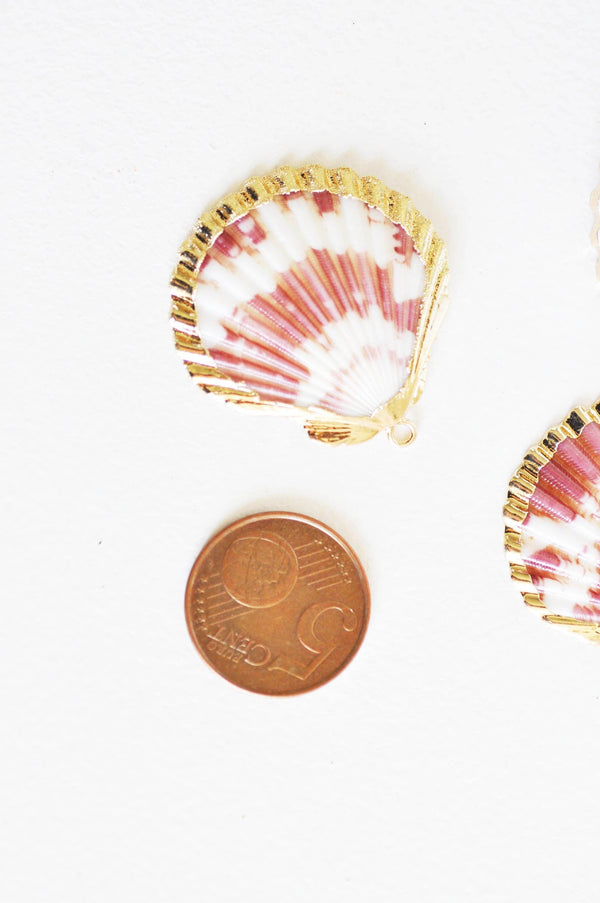 Pendentif coquillage naturel coque doré 33-54mm, x1, G1795