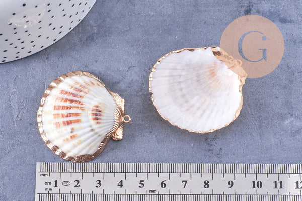 Pendentif coquillage naturel coque doré 40-51mm, x1 (G7163)