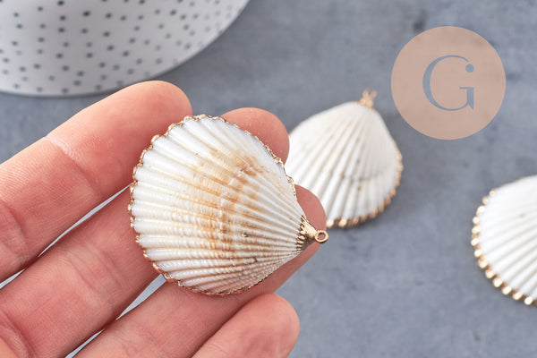 Pendentif coquillage naturel coque doré 42mm, x1 (G0873)