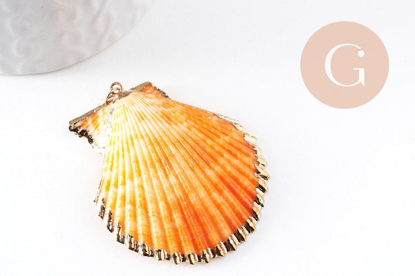 Pendentif coquillage naturel coque doré, pendentif doré, coquillage bijou,coquillage or,50mm x1 (G0933)