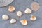 Pendentif coquillage naturel coque doré,pendentif doré, création bijoux, coquillage bijou,coquillage or,22-29mm, x 2-G1815