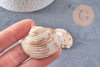 Pendentif coquillage naturel coque doré,pendentif doré, création bijoux, coquillage bijou,coquillage or,29-41mm, x 2 G5143