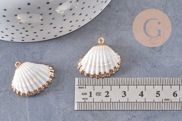 Pendentif coquillage naturel coque laiton doré 21-25mm, x1 (G6464)