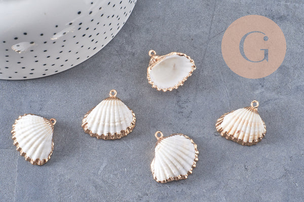 Pendentif coquillage naturel coque laiton doré 21-25mm, x1 (G6464)