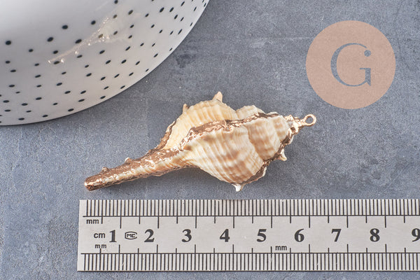 Pendentif coquillage naturel doré 50~64mm, x1 (G6465)
