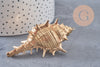 Pendentif coquillage naturel doré 57-78mm, pendentif doré pour création bijoux vacances x1 G1612