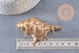 Pendentif coquillage naturel doré 57-78mm, pendentif doré pour création bijoux vacances x1 G1612