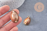 Pendentif coquillage naturel doré, pendentif doré, création bijoux, coquillage Conch bijou, coquillage naturel, 28mm (G0878)