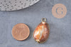 Pendentif coquillage naturel doré, pendentif doré, création bijoux, coquillage Conch bijou, coquillage naturel, 28mm (G0878)