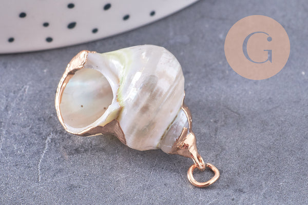 Pendentif coquillage naturel fer doré 25-30mm, x1 (G10699)