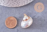 Pendentif coquillage naturel fer doré 25-30mm, x1 (G10699)