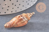 Pendentif coquillage naturel fer doré 26-52mm,x1 (G0133)