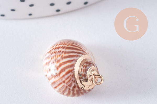 Pendentif coquillage naturel laiton doré 25-30mm, x1 (G0708)